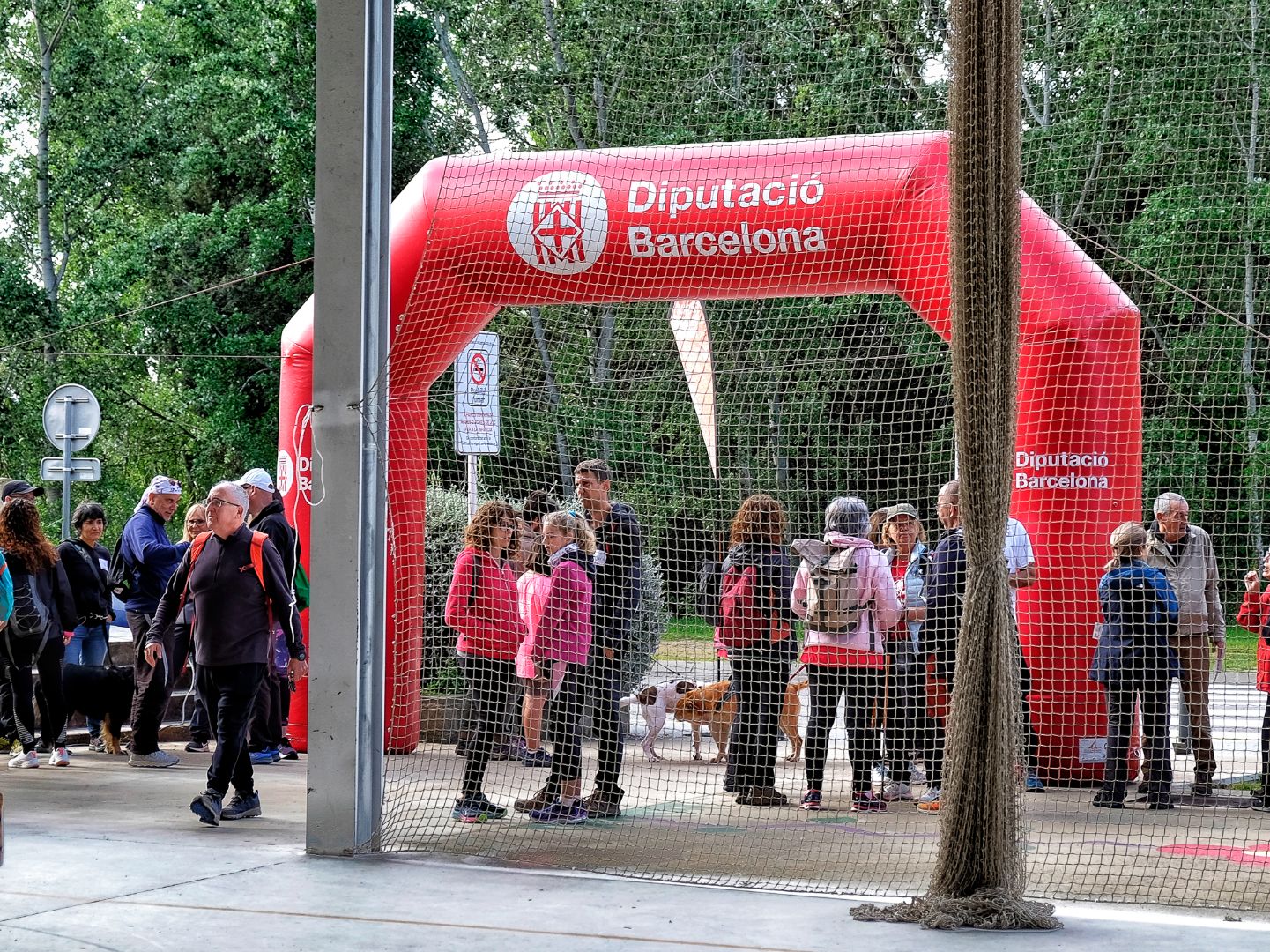 Sin título 261